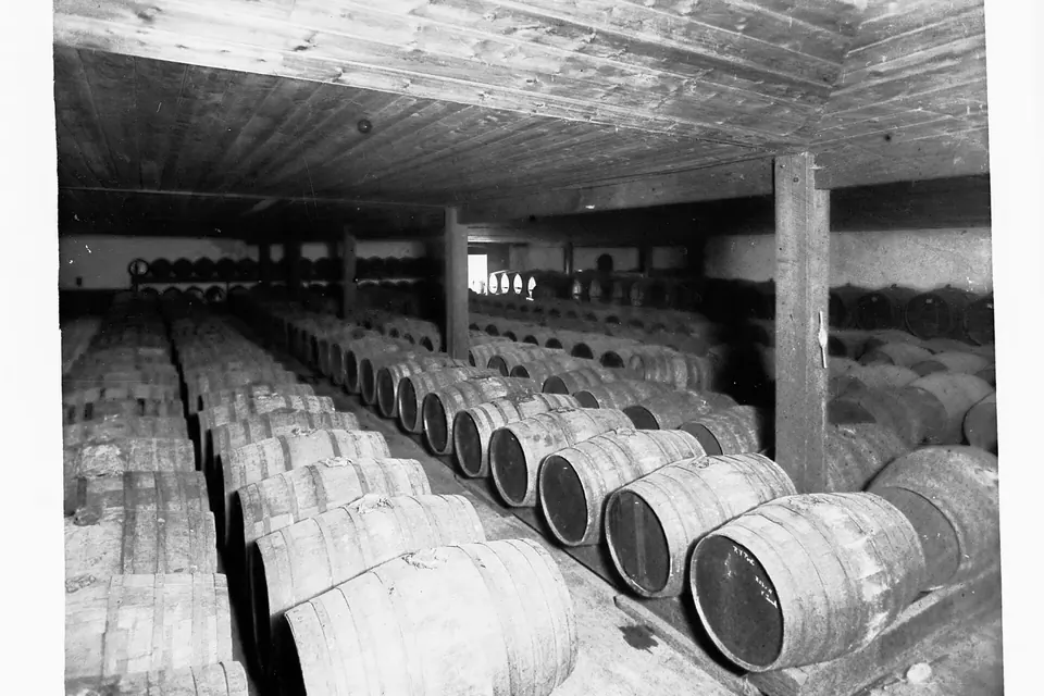 Photographie ancienne en noir et blanc d'un chai : de longues rangées de barriques couchées sous une charpente en bois