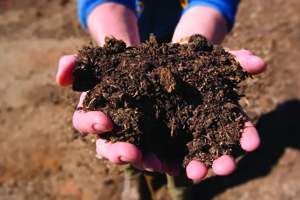 Deux mains tenant une poignée de compost brun foncé et friable au-dessus d'un tas