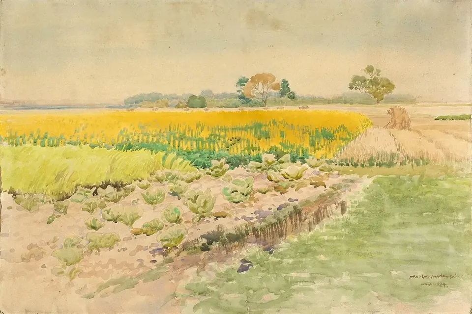 Aquarelle d'un champ de lupins en fleurs jaunes sous un ciel pâle, avec un chemin de terre au premier plan